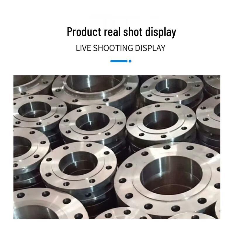 Carbon Steel Flat Welding Flange