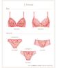Bra Wing Makes your breasts look fuller and Gentle fit Padded bra PB2920 GR F65 [Wing/Wacoal] Lesiage, softer, [2920 Series] Women's