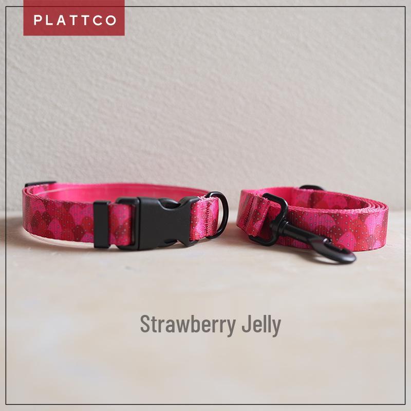 PLATTCO Strawberry Print Dog Collar & Leash Set PDC322 Extra Large