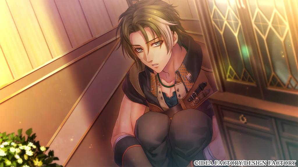 Beasts and Princesses for Nintendo Switch Special Edition