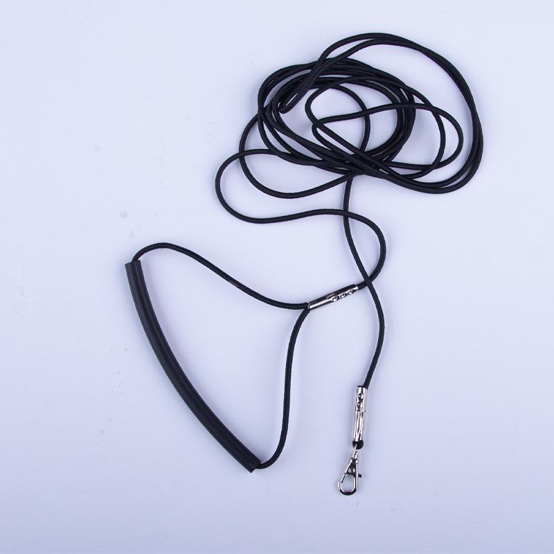 Expandable Parrot & Small Pet Leash: 2m, 3m, 4m Harness for Hamsters, Guinea Pigs, Rabbits, Chinchillas.