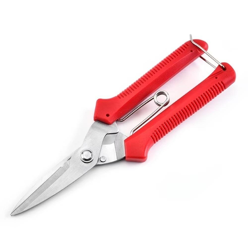 Stainless Steel Gardening Pruning Shears Precision Cutting Hand Pruner Branch Shears  Fruit Tree