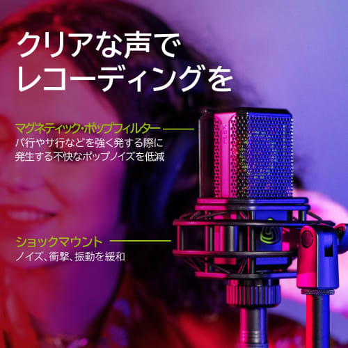 LEWITT LCT 441 FLEX Condenser Microphone for Vocal and Instrument Recording, 8 Polarity Types