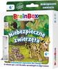 Brainbox Dangerous Animals Card Game, 6+ 1 Pc