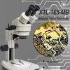 Phoenix XTL-165 Binocular Stereo Microscope