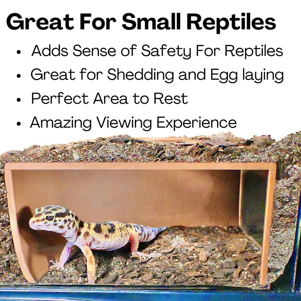 Kącik dla Gadów, Jaskinie Podziemne, Siedlisko, Siedlisko Jaszczurek i Węży, Kryjówki, Zabawki