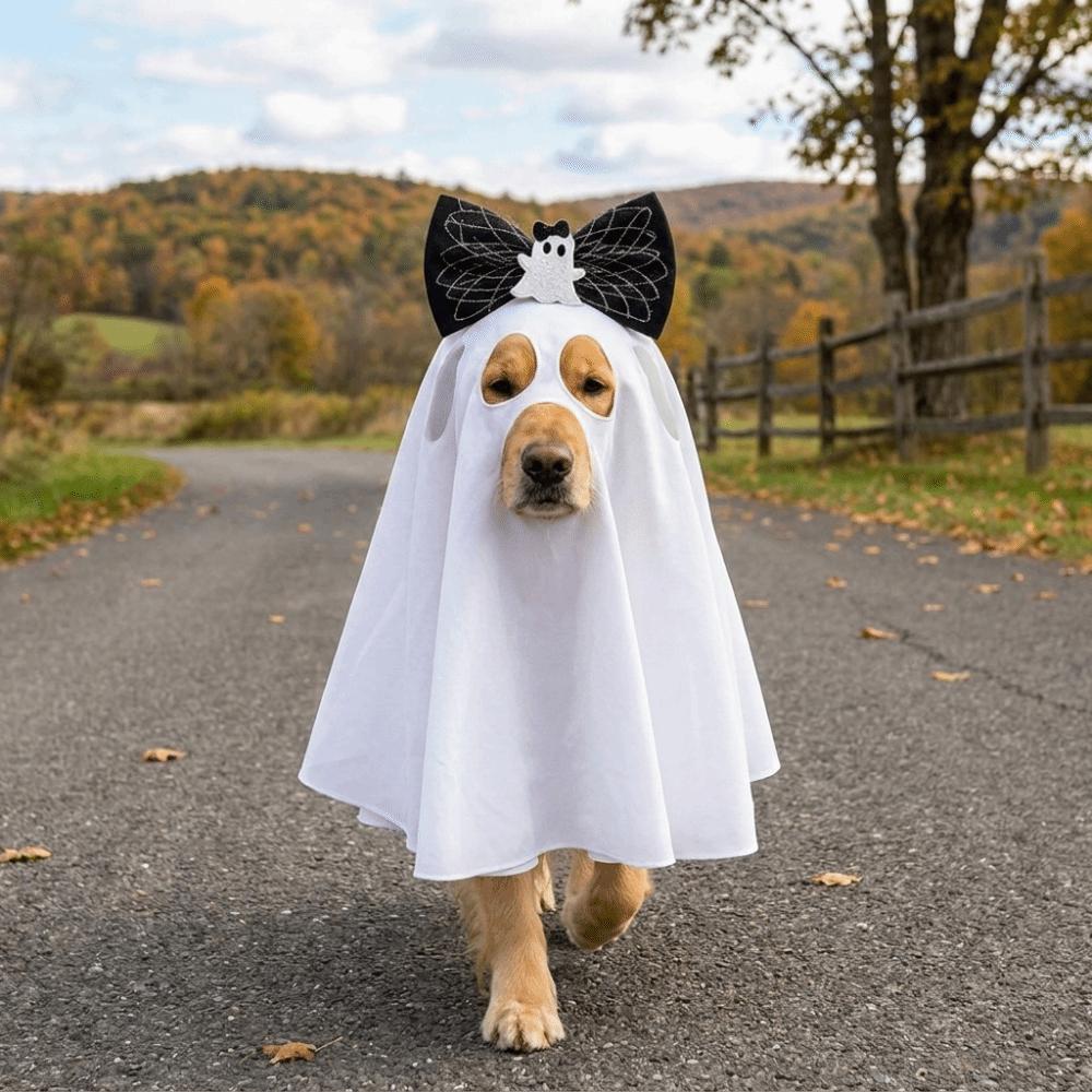 Breathable Dog Ghost Cape Spooky Pet Transformation Costume Halloween Ghost Dog Costume  Party