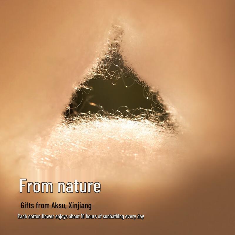 Woodpecker Men's Antibacterial Cotton Boxer Briefs Multi-pack