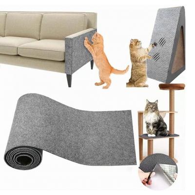 Kedi – Kedi Eğitim Aparatları