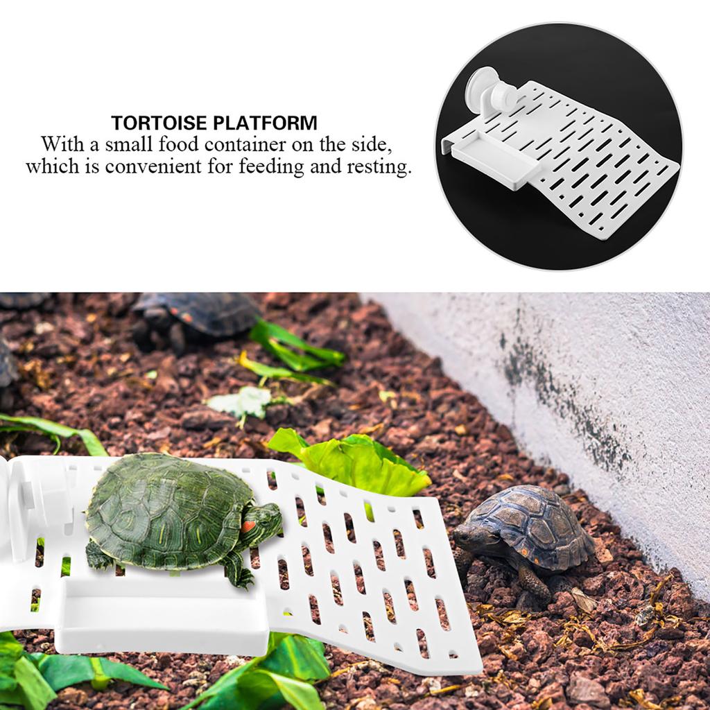 Aquarium Tortoise Platform Turtle Terrace Reptile Habitat Floating Island Dock with Suction Cup