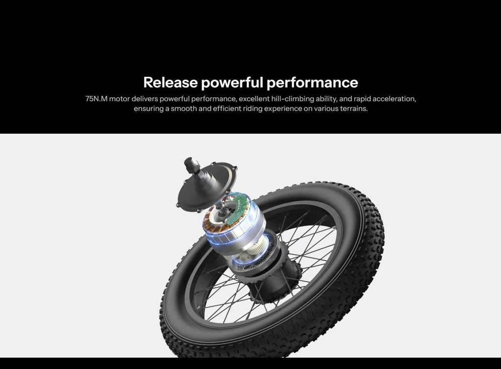 EMOKO C93pro-24 Retro E-bike, 24x4-inch Off-road Fat Tires, 48V 23Ah Battery, Full Suspension System, Hydraulic Brakes.