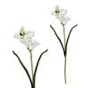 Takje - witte schuimfreesia 59 cm