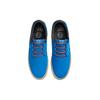 Nike Sb Shane Premium Signal Blue DC8902-400