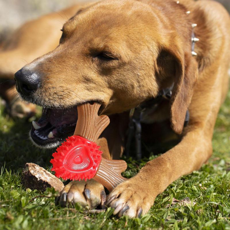 Antler Shape Dog Toys Puppy Durable Chew Toys Pet Teeth Cleaning Tool Interactive Dog Toothbrush Toy For Small Dogs Dog Toy