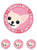 Stare Chihuahua Smooth Cream & White Dog Sticker Pink Back Round L + SS Size [Set of 4] MK-3