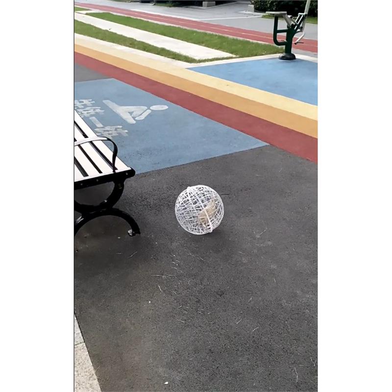 Portable Round Chicken Coop: Outdoor Rolling Foraging Cage for Free-Range Chickens