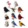 Kit de Broderie cu Mărgele Pasăre DIY, Kit de Meșteșug cu Mărgele Animale 3D, cu Accesorii Colorate cu Mărgele, Proiect Drăguț de Meșteșug cu Pasăre din Mărgele pentru Adulți și Adolescenți Cadou Creativ