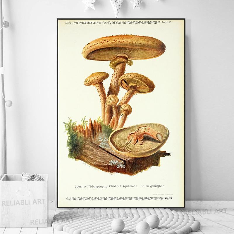 Vintage Mushroom Exemen Malba na plátně Starožitné umění na zeď Bylinné obrazy Vědecké plakáty a grafiky Dekor domácí kanceláře Cuadros