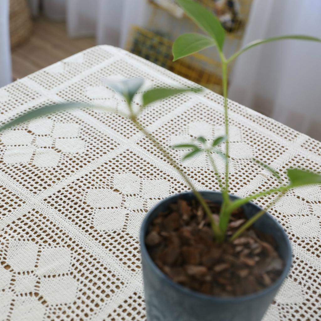 Bohemian Chic Crochet Lace Tablecloth - Hollow Out Design, Perfect for Dining & Parties, Rectangular, Boho Home Decor, Banquet, Western Food
