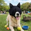 Noise Reduction Dog Placate Headgear Anti Startle Dog Ear Wrap Scarf Dog Calming Cap Outdoor