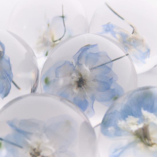 BTS JIMIN MUSE Paper Weight ペーパーウエイト Unopened] BTS Jimin Muse BLOOMING ver. Flower Paper Weight