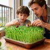 Set mit Anzuchtschalen Groß Rostfreier Edelstahl Gartenpflanzenlagerung Mini-Pflanzen Grünzeug Anzuchtkasten für Bohnen