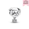 Pet Dog   Bone Charm