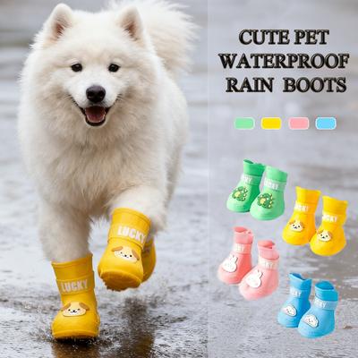 Bekleidung & Schuhe – Hundeschuhe