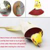 QBLEEV 4Pack Pet Parrot Anti-bite E-Collars, Anti-Grab Feather Plucking Wound Healing Safety Elizabethan Collar, Protective Recovery Cones for