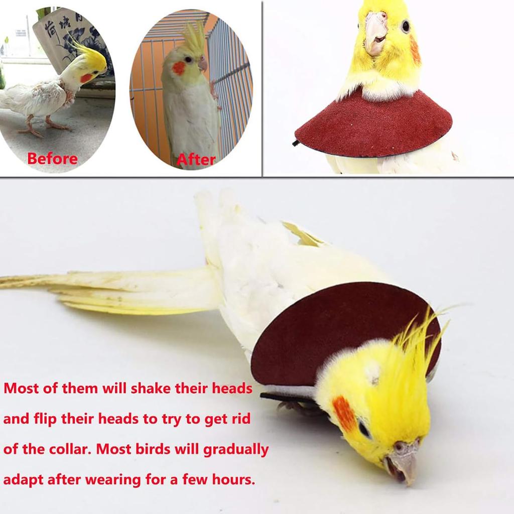 QBLEEV 4Pack Pet Parrot Anti-bite E-Collars, Anti-Grab Feather Plucking Wound Healing Safety Elizabethan Collar, Protective Recovery Cones for