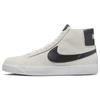 Zoom Blazer Mid SB 'Sail Cave Purple' Homme 864349-011