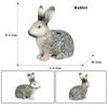 Oenux Lovely Farm Rabbit Bunny Model Action Figure Figurine Wild Desert Cottontail Hare Cute PVC Decoration Education Kid Toy