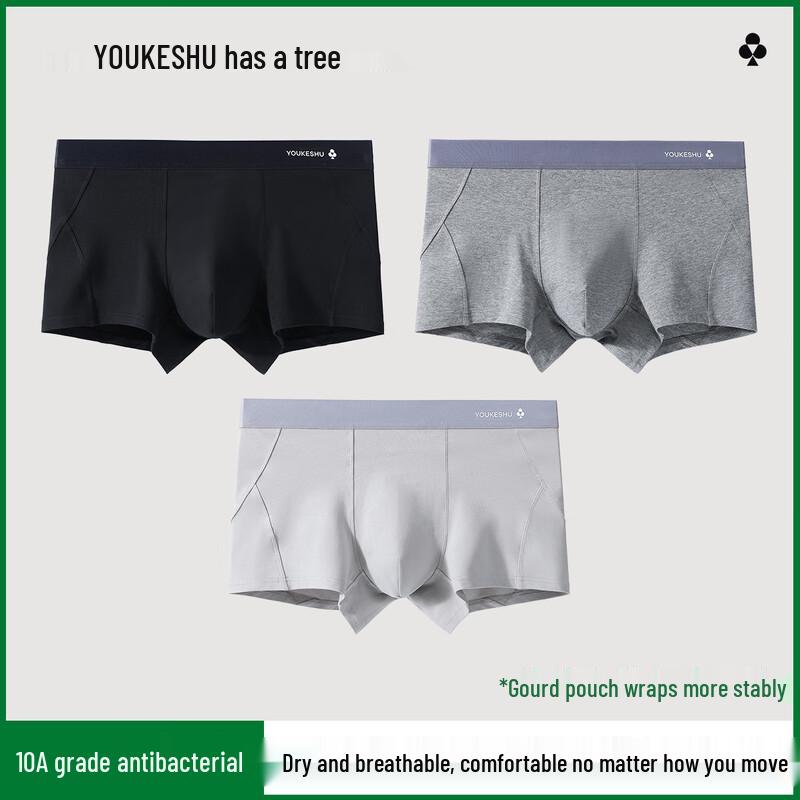 YOUKESHU Men's Modal & Silk Antibacterial Boxer Briefs (3-Pack)