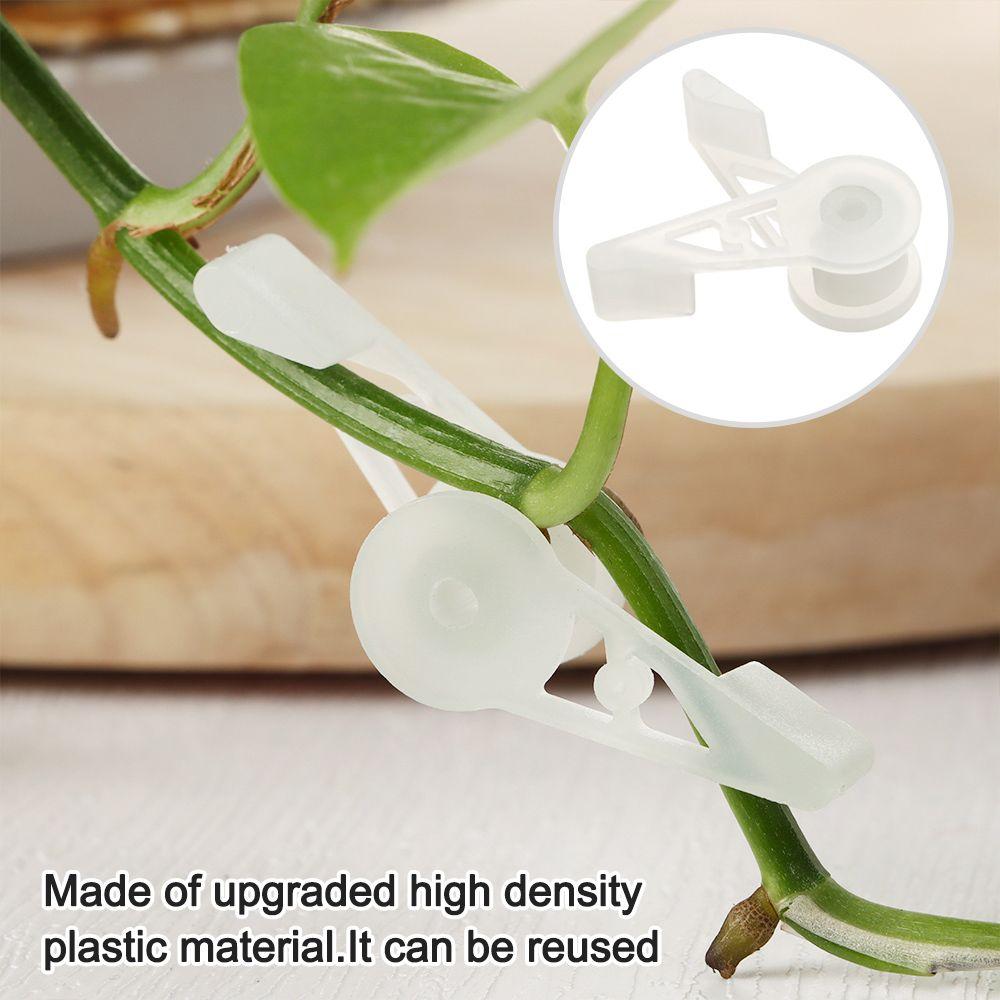 

Скученность Многоразовые клипсы LST с низким уровнем стресса Обучение растений Контроль роста 90 градусов Изгиб растения