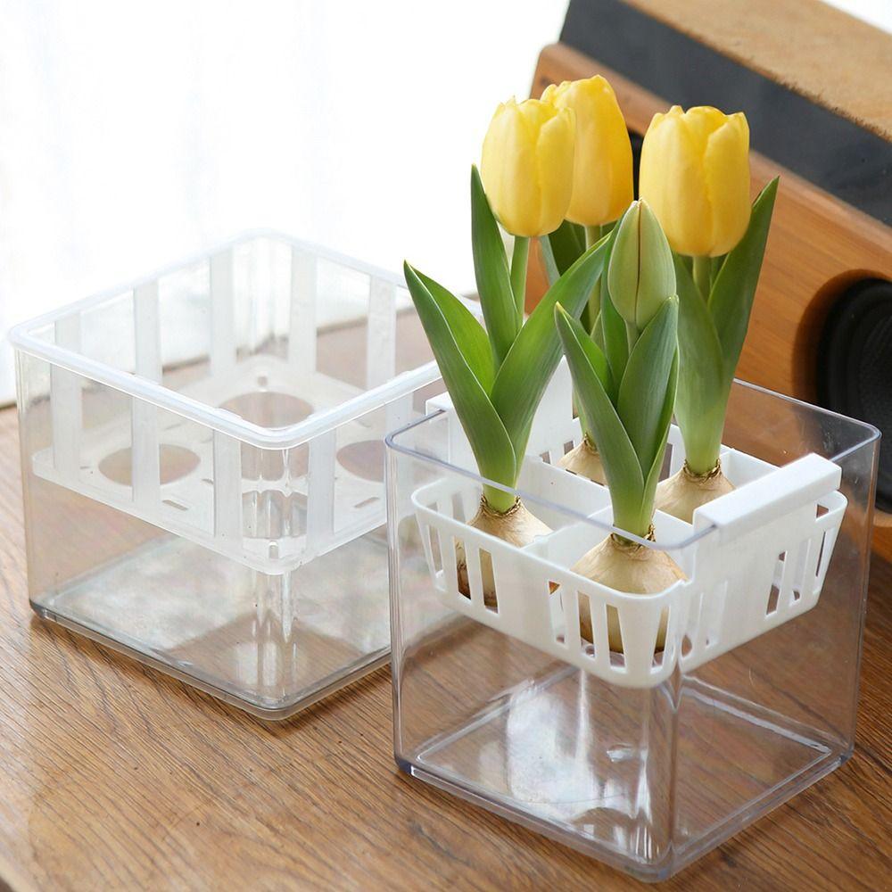 Clear Tulip Hydroponic Flowerpot With Breathable Support Basket Flower Pot Home Decoration