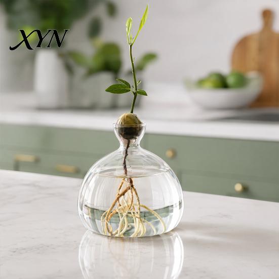 Pflanzenhalter aus Glas Hydroponik-Pflanzen Vase, Transparentes Vermehrungsterrarium, Schreibtisch Dekorative Klare Topf Pflanzgefäß für Zuhause Büro Tischmittelstück