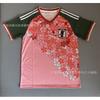 2025-2026 Cameroon Ajax Real Madrid Grmio Y3 Soccer Jersey Fan Edition Short Sleeve DIY Custom