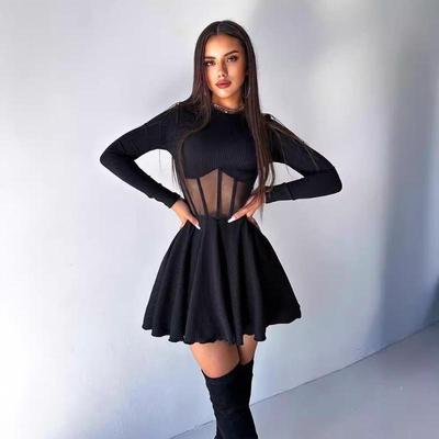 Dames Herfst Winter Mode Ronde Hals Lange Mouw Jurk Mesh Stiksels Dunne A-lijn Jurk