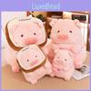Belly Pig Toast Plush Toy Cartoon Animal Stuffed Doll Decoration Kids Gifts