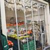 Magnetic PVC Door Curtain: Transparent, Anti-Mosquito, Universal, Dustproof, Heat-Insulating, Air Conditioner Compatible, All-Season Use