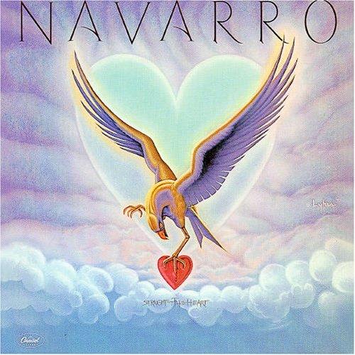

CD NAVARRO - Straight To The Heart +6 5251312 Magic Records 2000 France Rock Used
