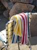 CLAUMAN 1981 Organic Striped Towel 5P