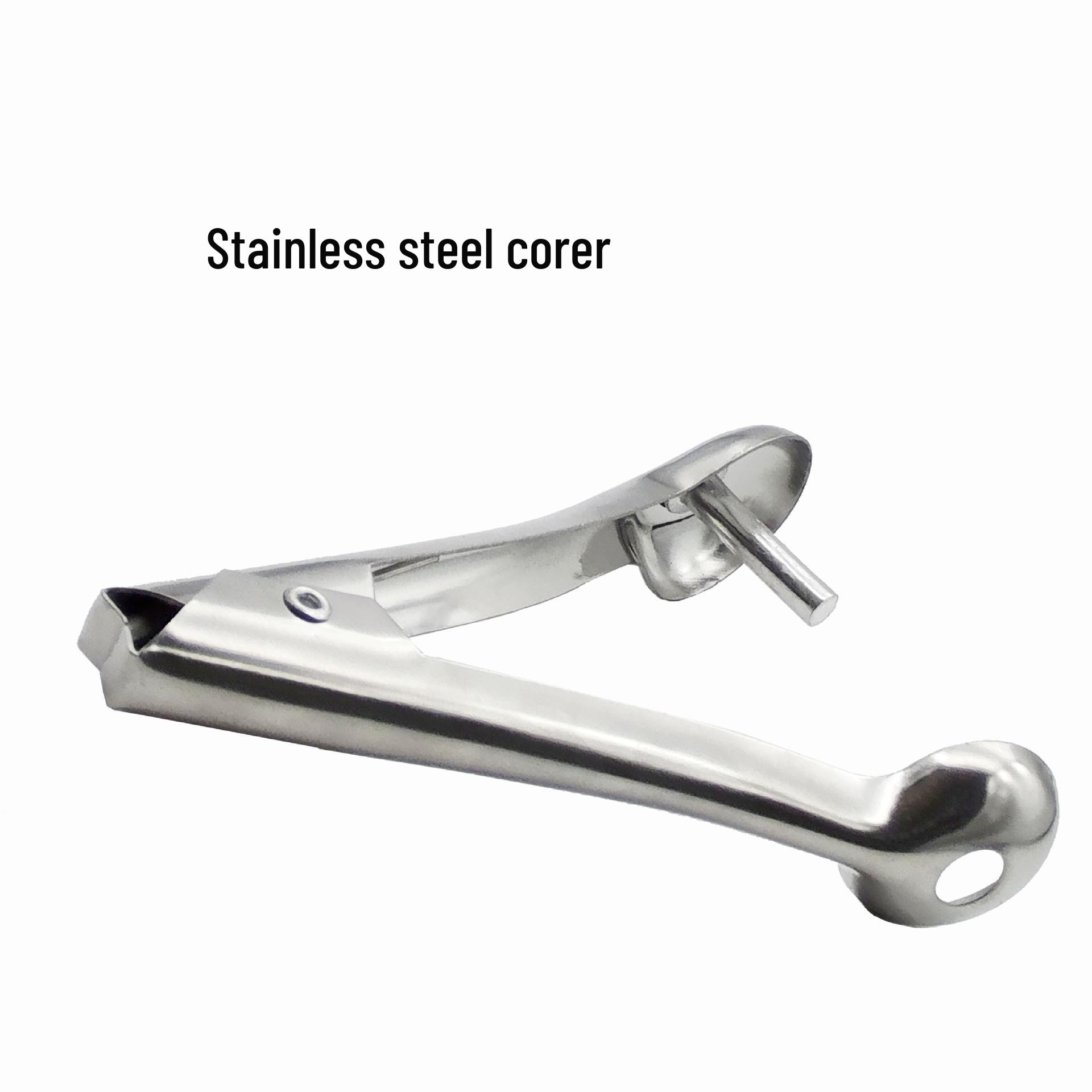 Stainless Steel Multi-functional Cherry and Date Seed Remover Tool