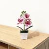 Butterfly Orchid Artificial Plant With Plastic Material For Home Decor And Photography Props