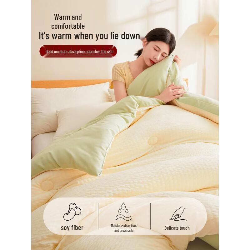 Muji-Style Class A Antibacterial Soy Fiber Quilt