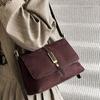 Stylish and Simple Small Bag Women's 2025 New Autumn and Winter High-end Niche Versatile Messenger Bag Commuter Shoulder Bag