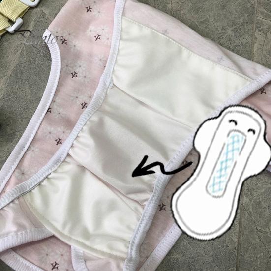 Pantaloni menstruali pentru animale de companie Chiloți sanitari ajustabili pentru câini Pantaloni fiziologici confortabili, rezistenti la scurgeri, pentru animale