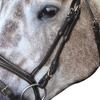 John Whitaker Pick N Mix Leather Buckle Horse Cheekpiece