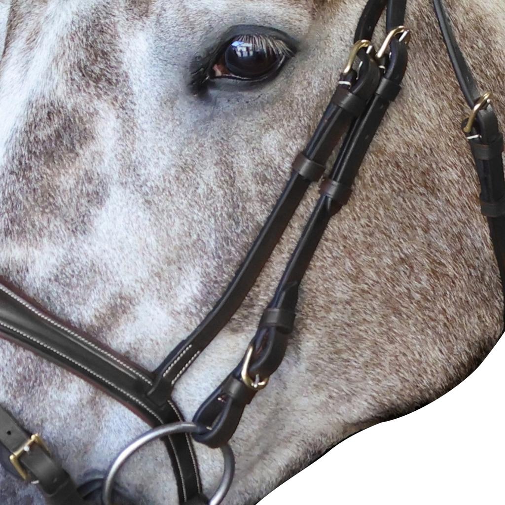 John Whitaker Pick N Mix Leather Buckle Horse Cheekpiece