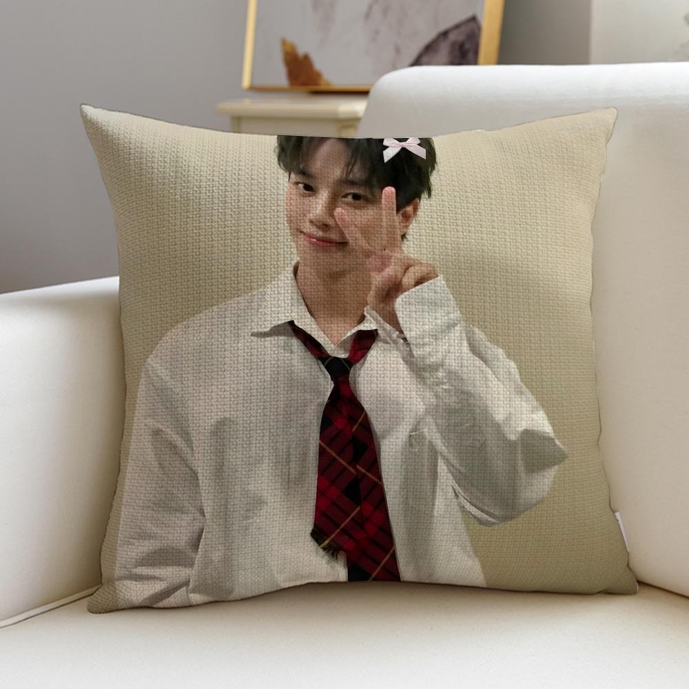 KKorean actor Song KangS Cushion Cover Breathable and skinfriendly linen pillowcase square removable and washable cushion